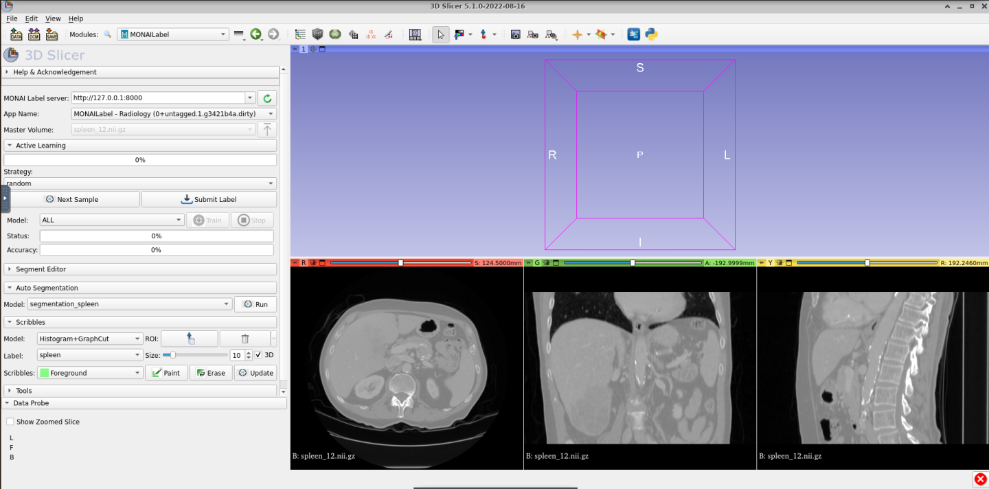 radiology-018.png