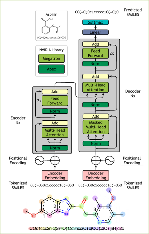 clara-megamolbart-overview.png