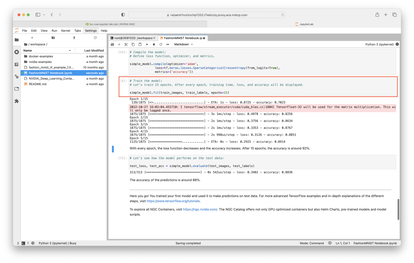 Step #4: Using a Jupyter Notebook Example - NVIDIA Docs
