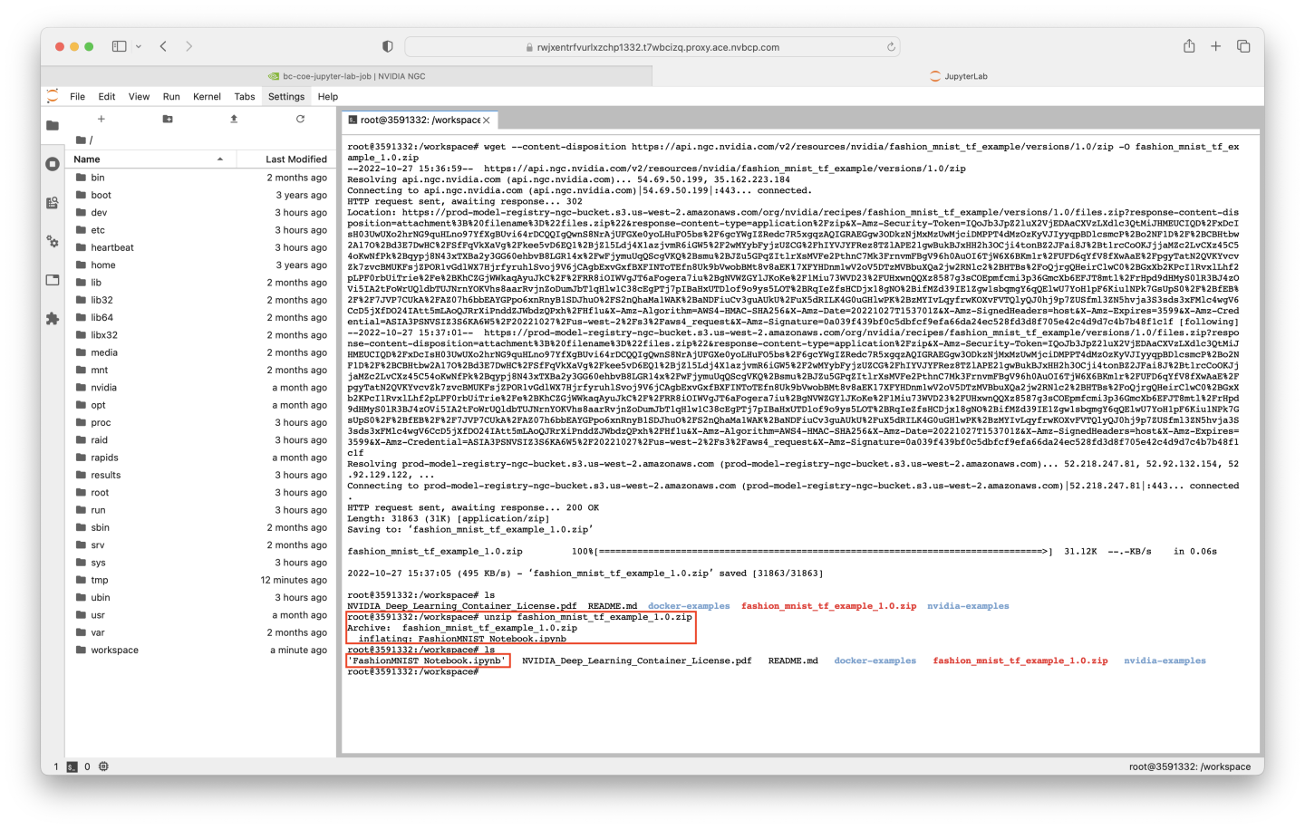 Step #3: Access JupyterLab UI and Download Jupyter Notebook - NVIDIA Docs