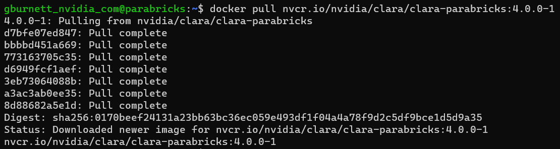 image_docker_pull1.png