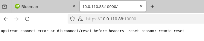 blueman_accept_risk_2_v25.1.1-version-1-modificationdate-1753356499387-api-v2.png