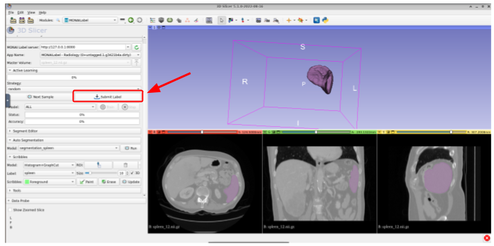 radiology-024.png