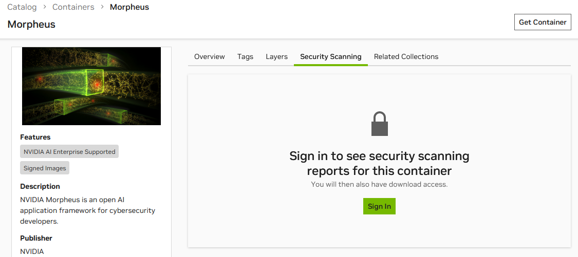 ngc-catalog-containers-nvaie-supported-example-security-tab.png