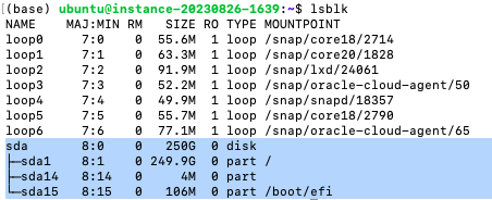 lsblkCommand.png