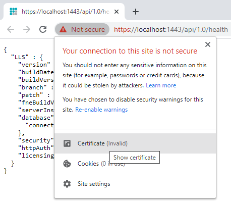 insecure-connection-window.png