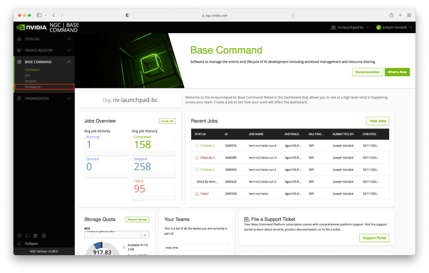 Step #1: Dataset and Workspace Navigation - NVIDIA Docs
