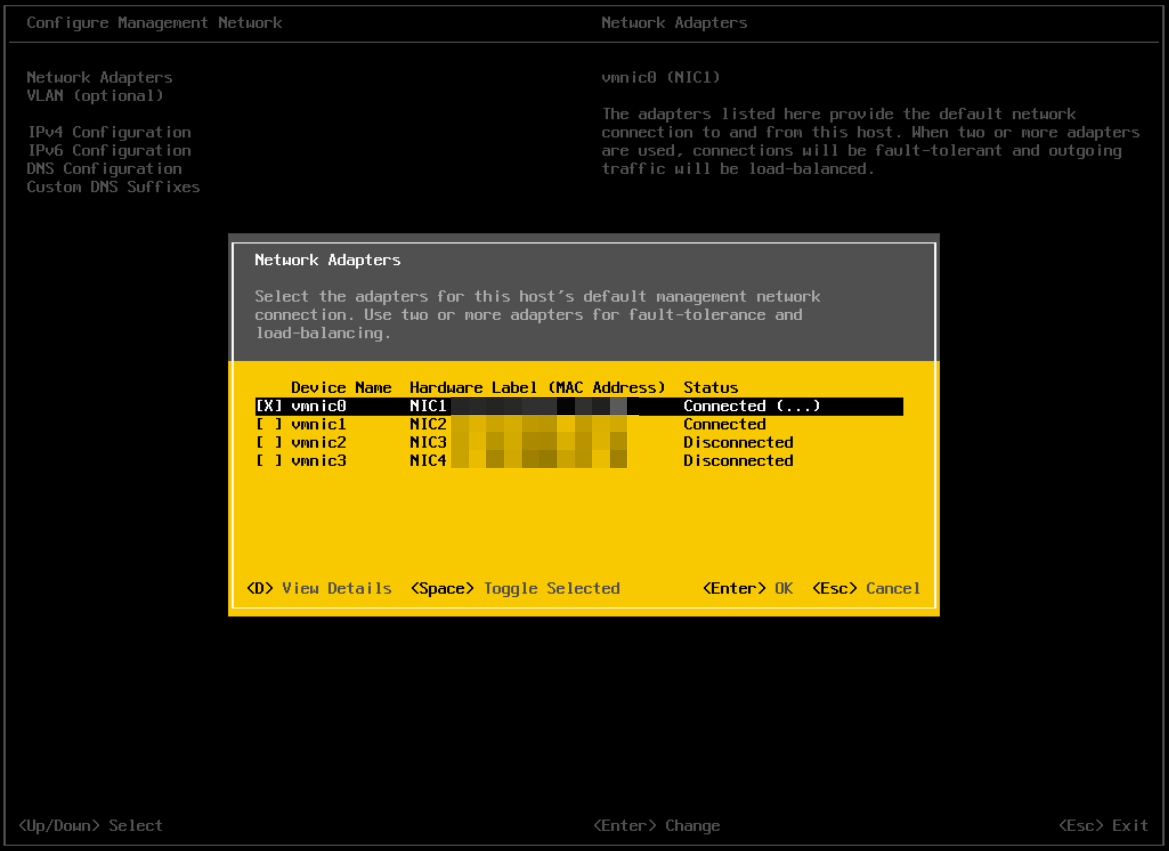 dg-installing-esxi-20.png