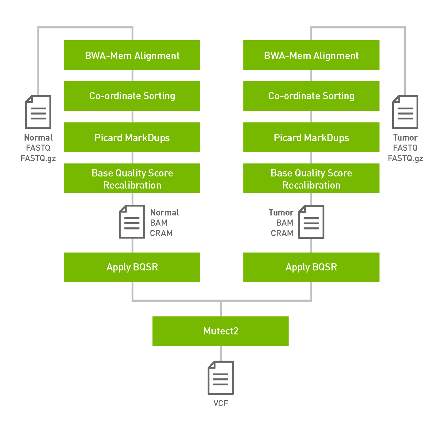 parabricks-web-graphics-somatic-pipeline.png