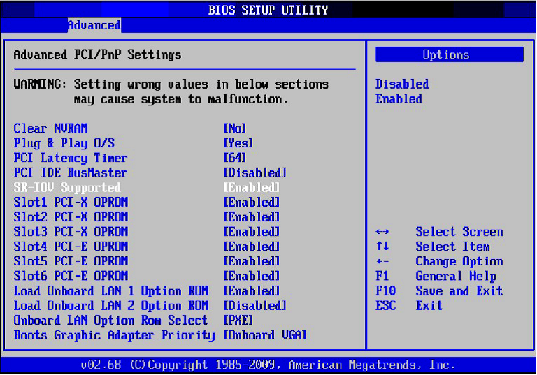 SRI-IO_BIOS_setup.png