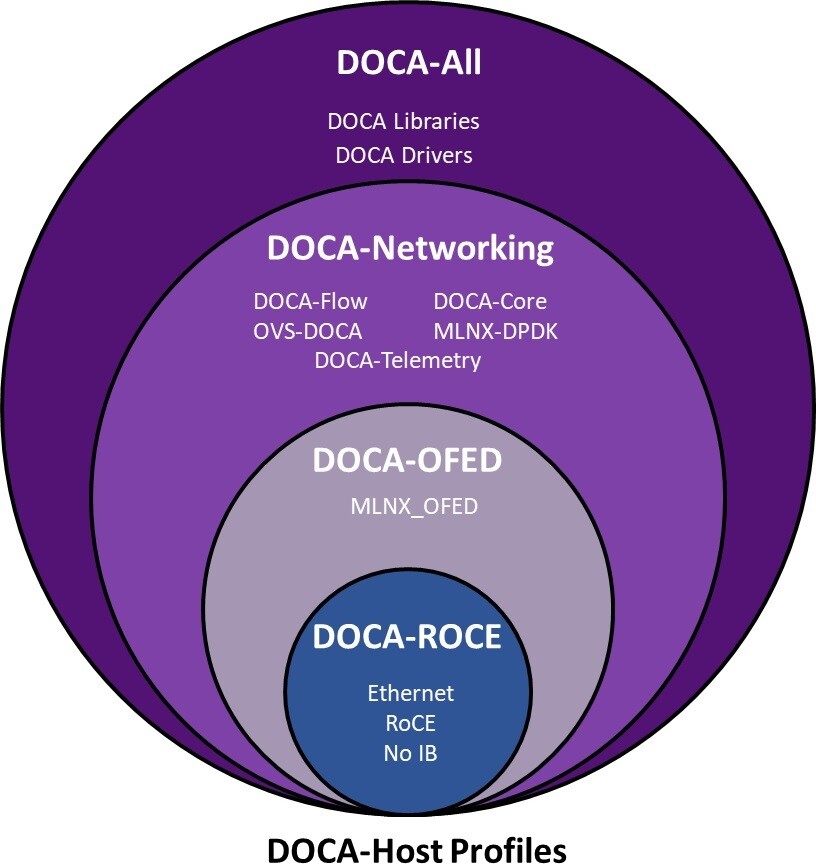 DOCA_Host_profiles_ROCE-version-2-modificationdate-1749479954637-api-v2.jpg