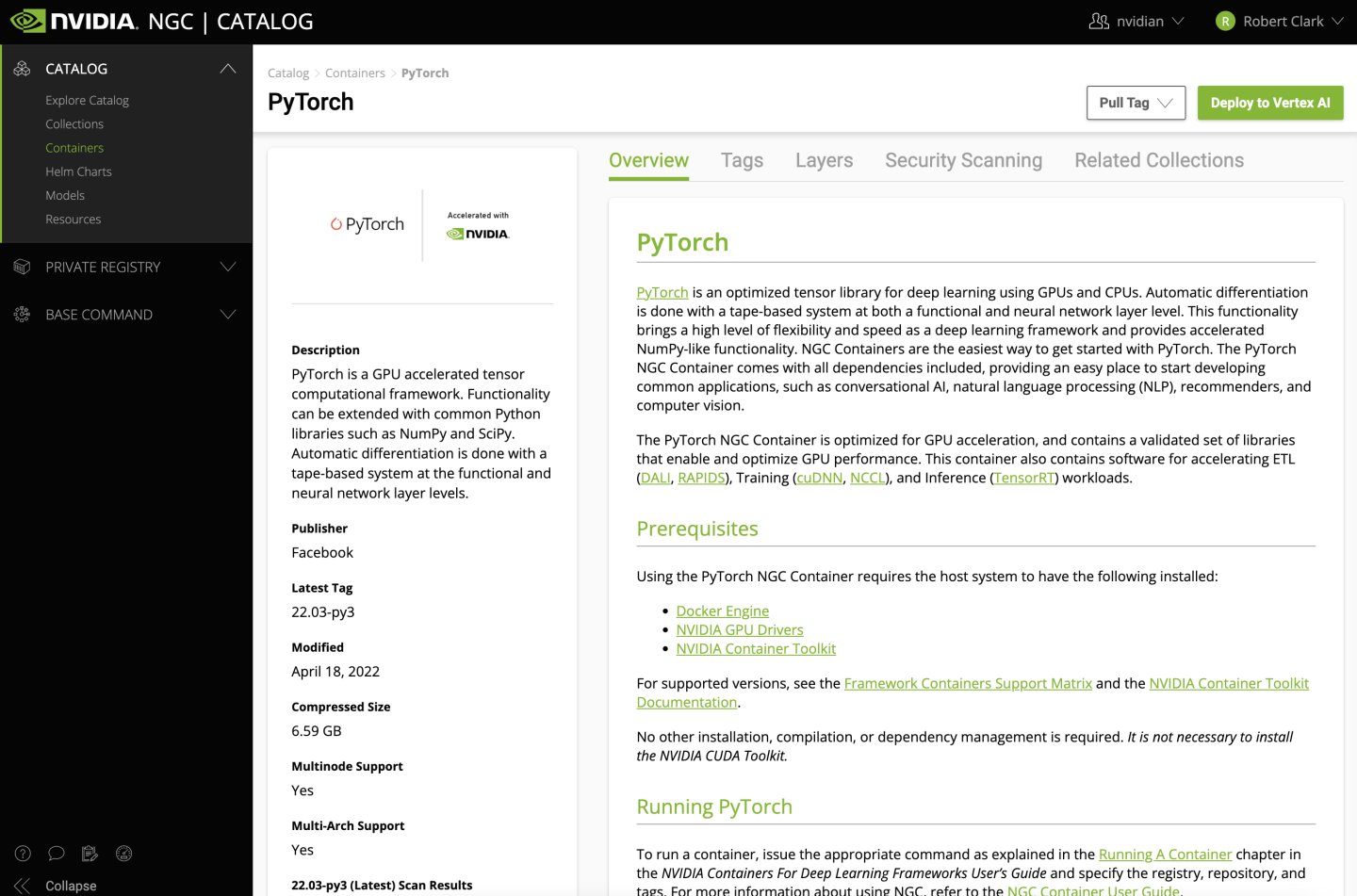Step 3 Pulling Docker Images From NGC NVIDIA Docs