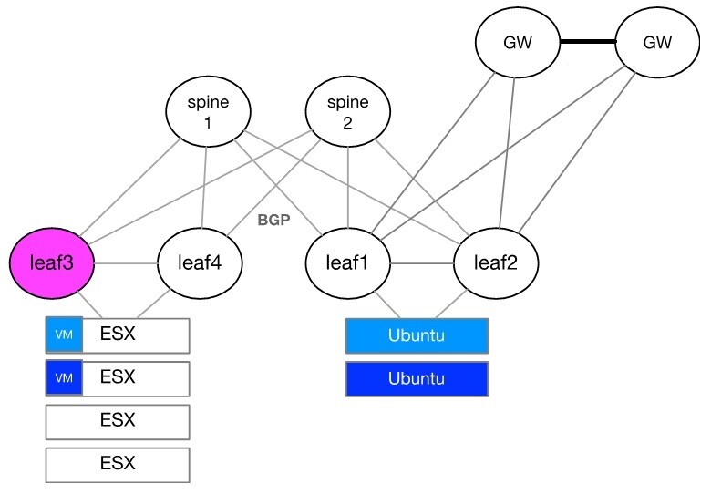 Example_of_How_To_Configure_EVPN_LI-version-1-modificationdate-1752785920814-api-v2.jpg