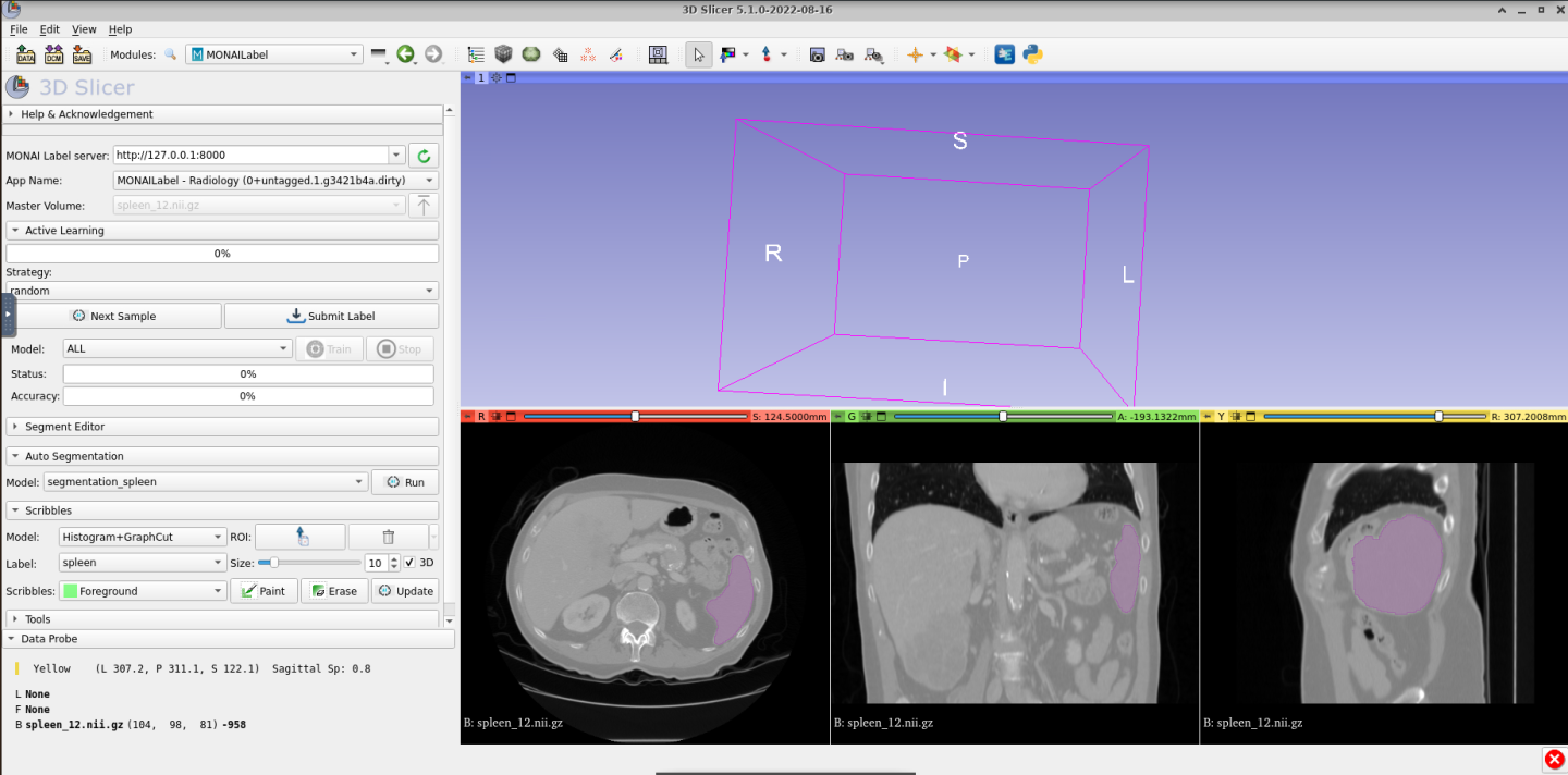 radiology-020.png